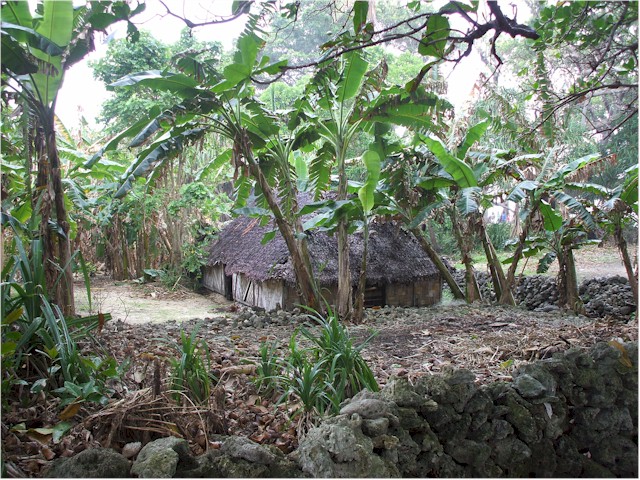 Vao Island is known for its tidy fence walls made from volcanic rocks.
