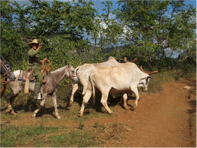 Once the banking was complete, we heard there was an interesting walk through the valley...
