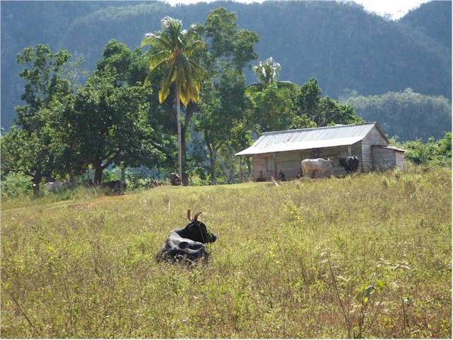 During the walk, we invited them to hitch a ride on Poco Andante to Isla de Juventud...
