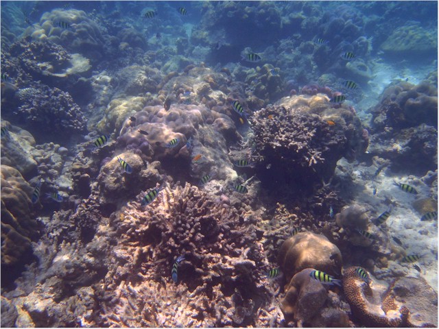 Next stop, the Surin Islands - fantastic snorkelling!
