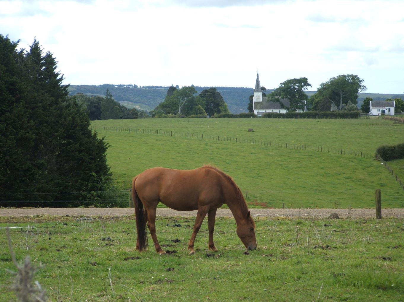 More beautiful scenery from Northland.
