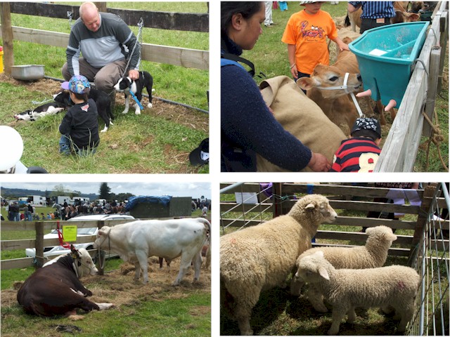The Waimate North Agricultural Show - it felt like it could have been anywhere in England!