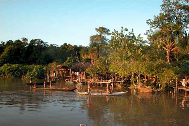 Warao Village on the Orinoco River.
