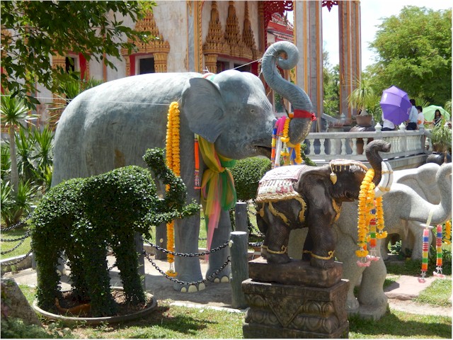 The elephants were amusing.
