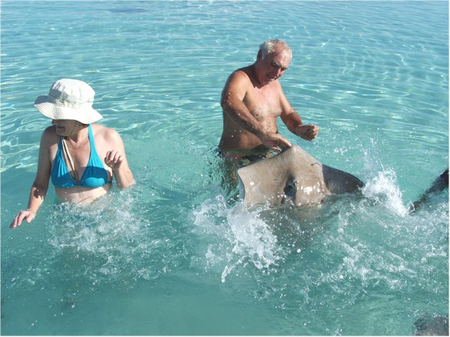 Feeding the sting rays.
