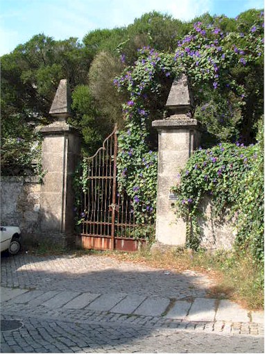 Beautiful Viana de Costelo...