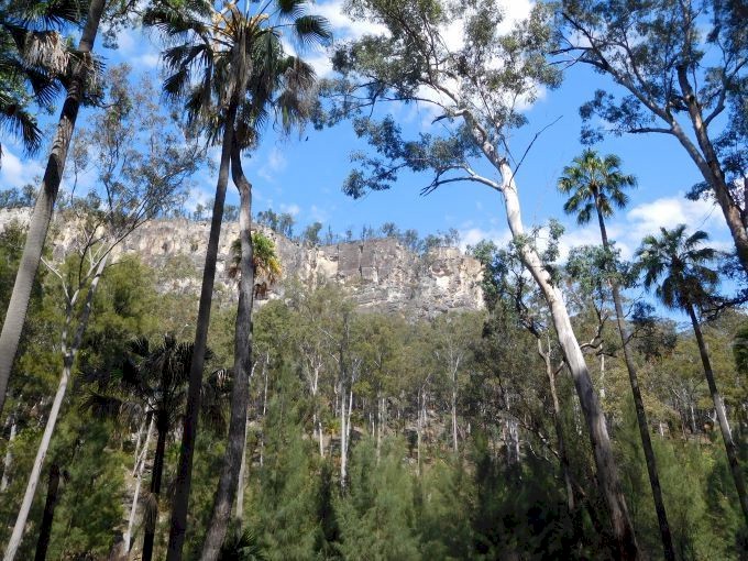 On our way back home we spent a lovely 4 days at Carnarvon Gorge.