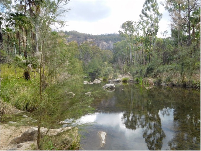 On our way back home we spent a lovely 4 days at Carnarvon Gorge.