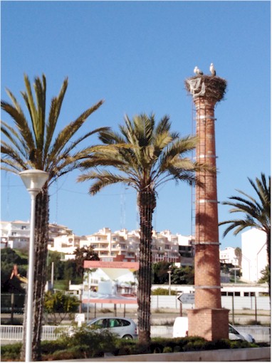 The storks were nesting - reminded us that Char and Rachel were also awaiting the birth of their first child due in January!