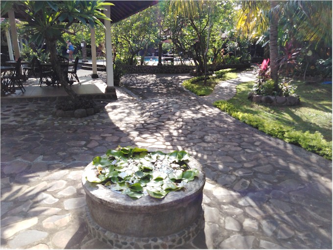 Our hotel was a bit disappointing but, as always in Bali, the grounds were amazing.