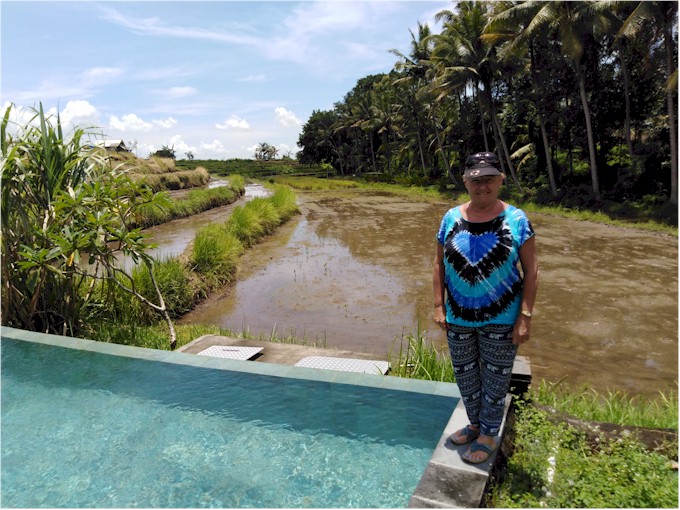 ... with an horizon pool overlooking the padi fields.