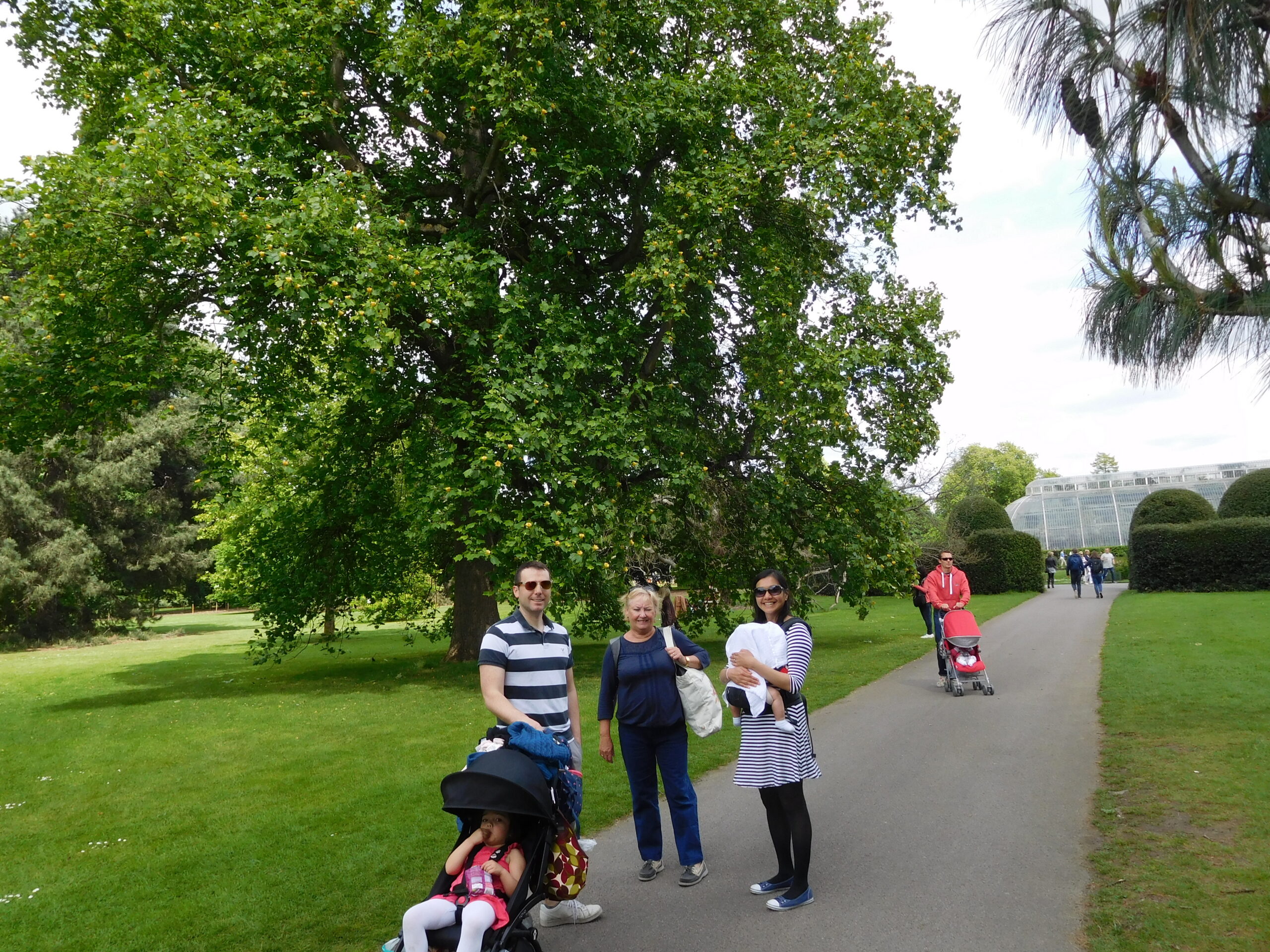 kew gardens (14)