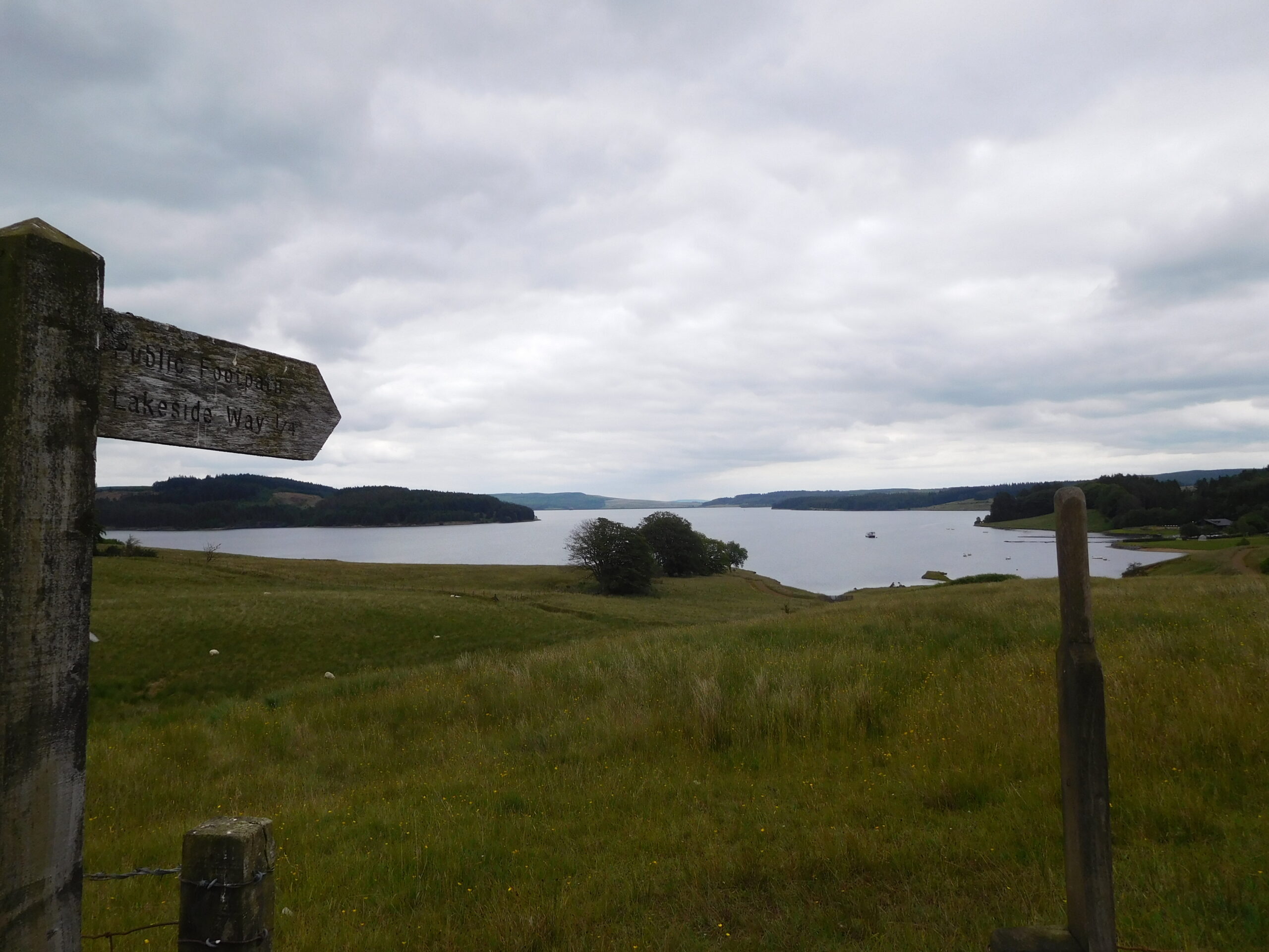 kielder reservoir (14)