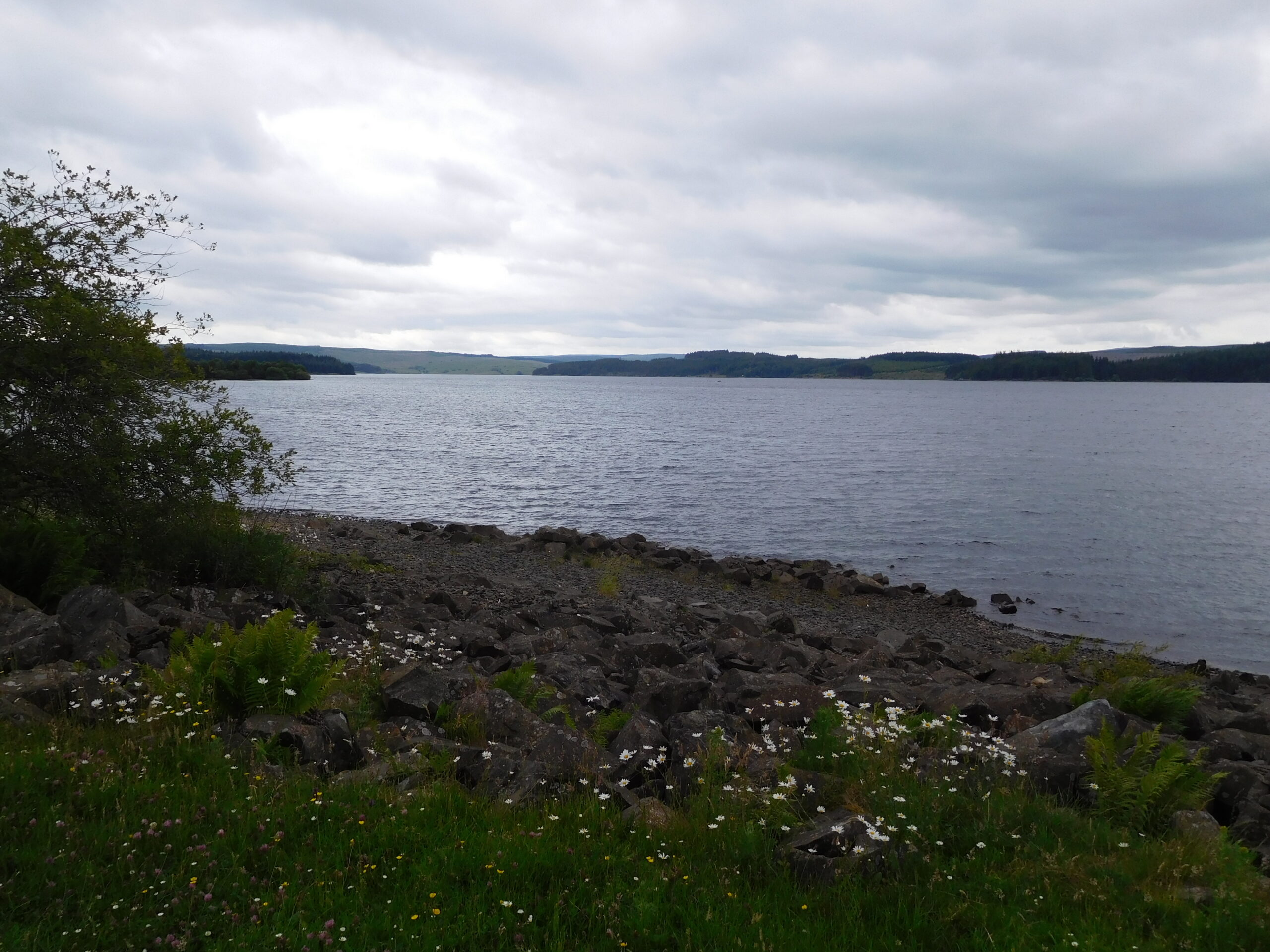 kielder reservoir (4)