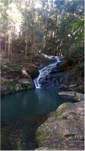 A trip to the Kondalilla Falls provided some good hiking...