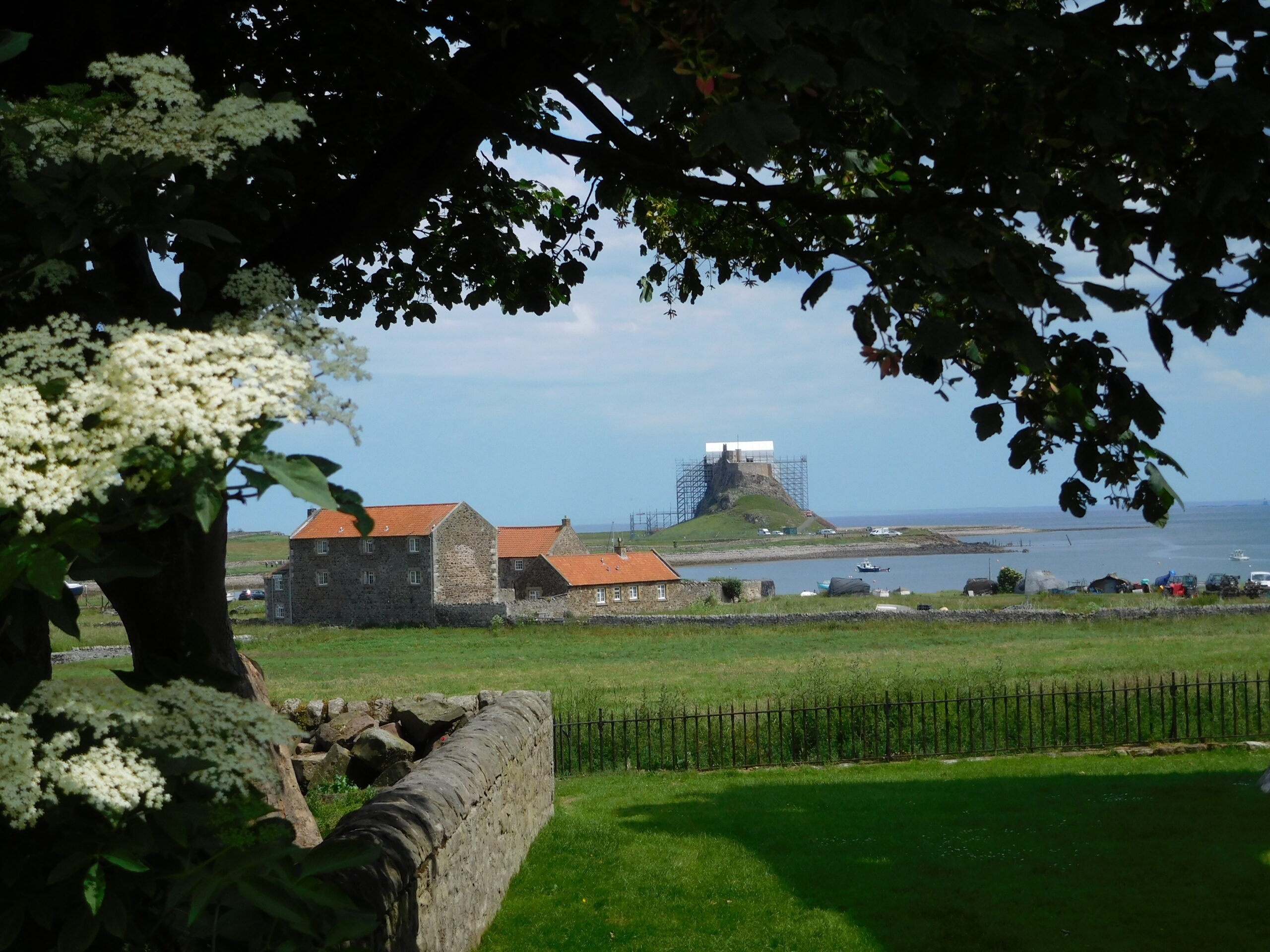 lindisfarne (122)