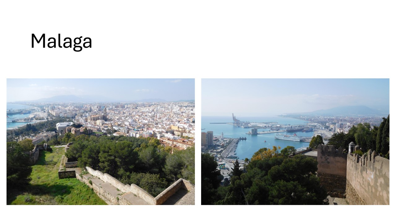 malaga (1)