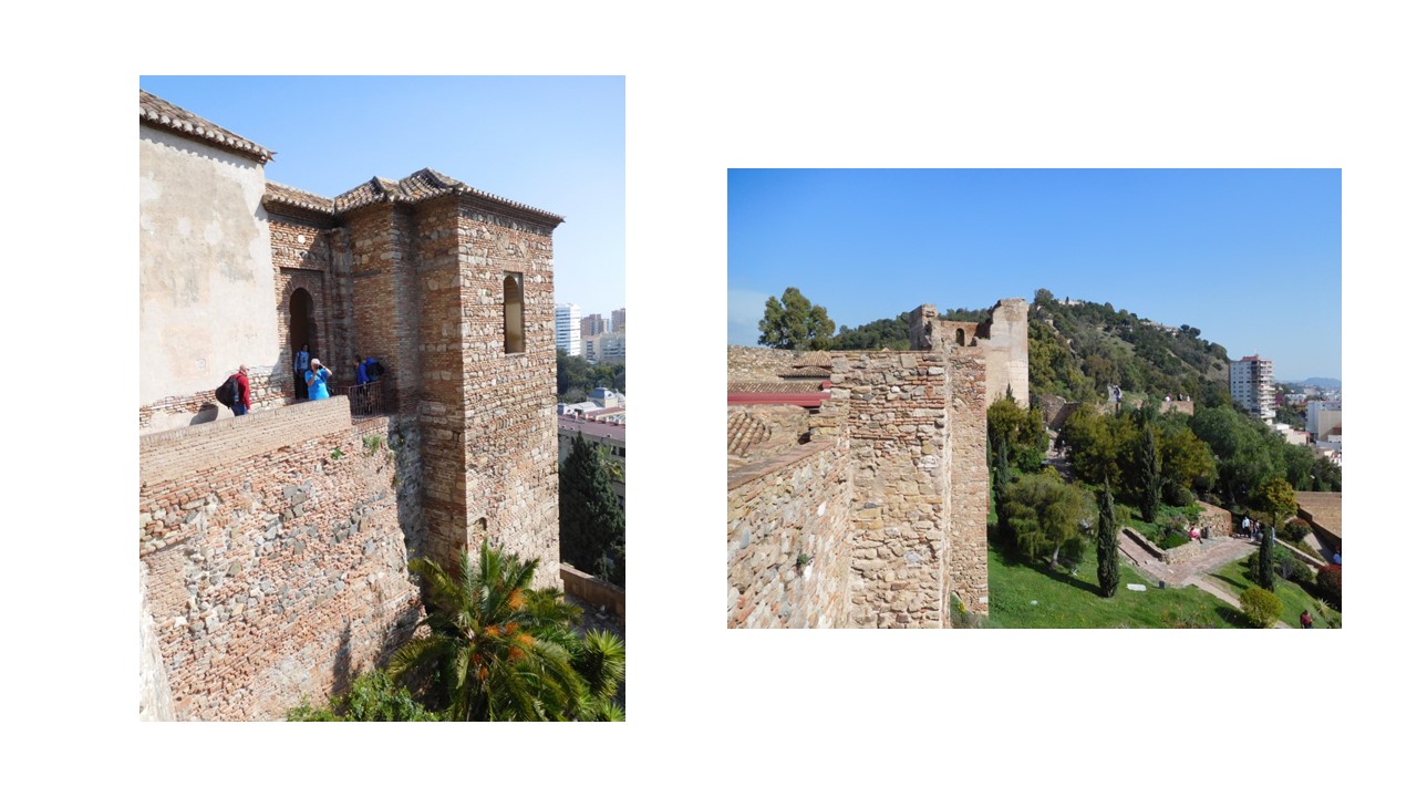 malaga (5)
