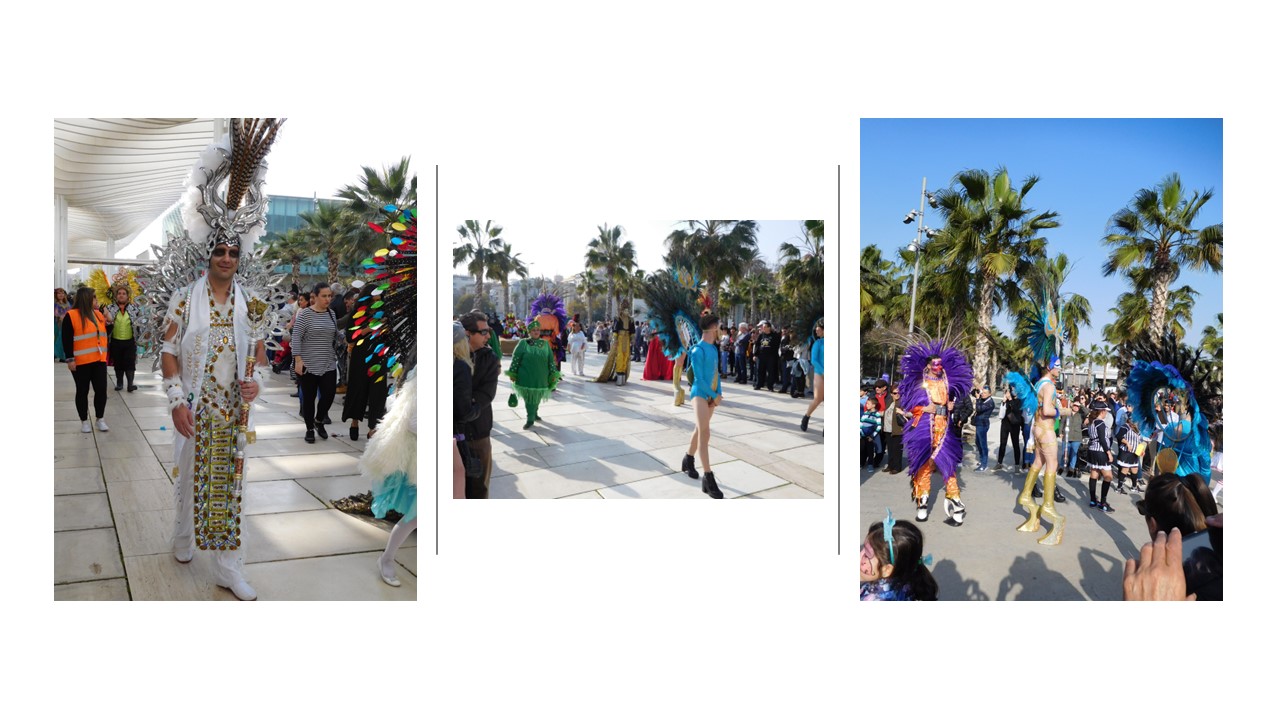 malaga carnival (12)