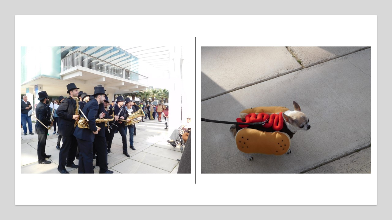 malaga carnival (13)