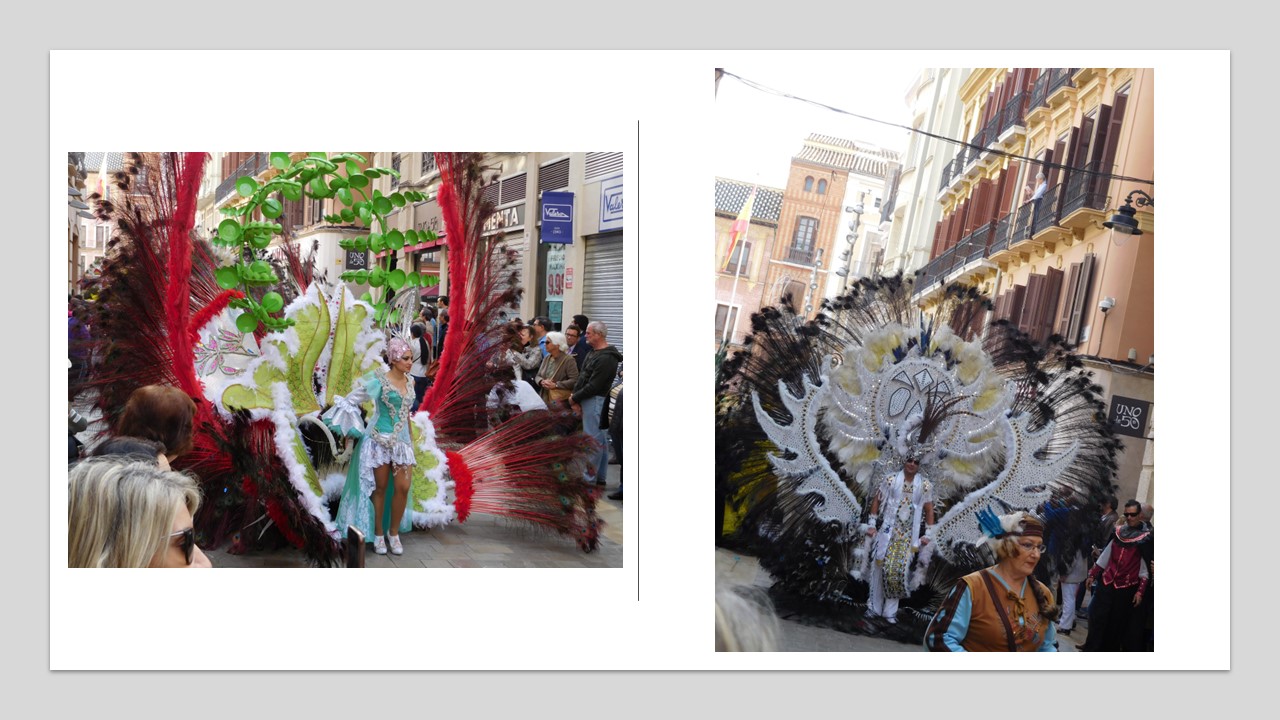 malaga carnival (3)