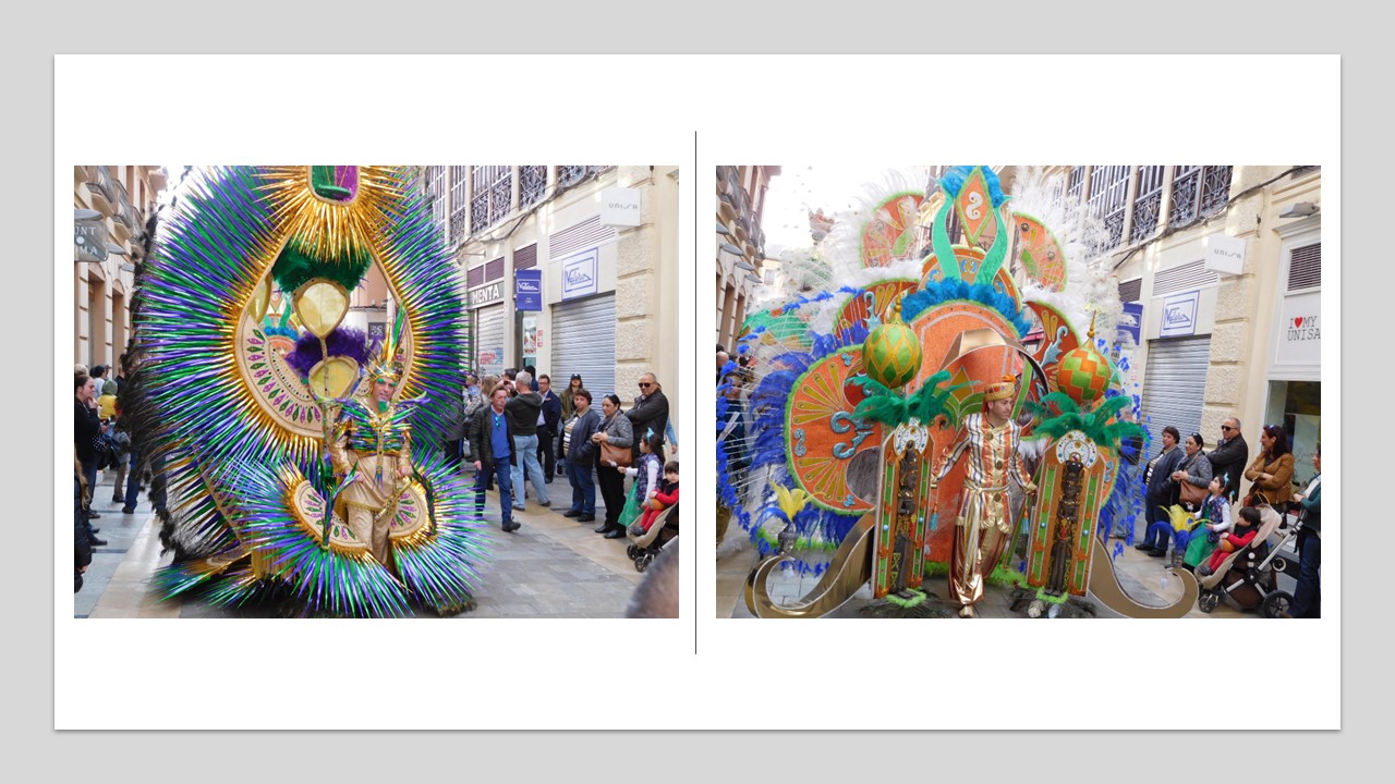 malaga carnival (7)