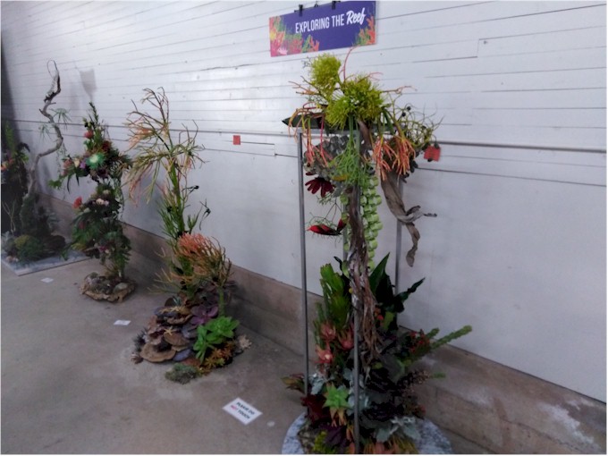The Nambour Garden Show had some spectacular arrangements...