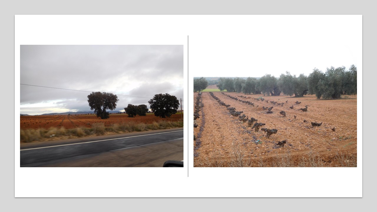 on the road to granada (2)