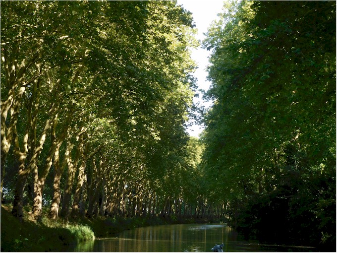 ... it really is beautiful!