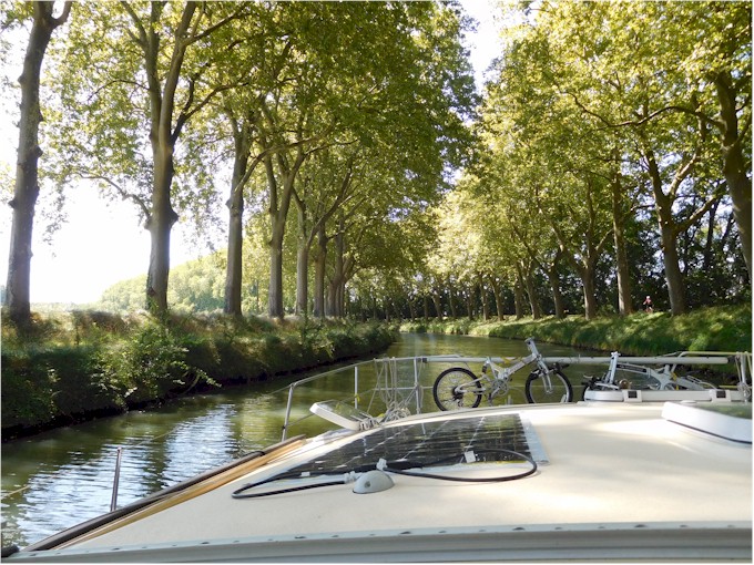 The plane trees line the Canal du Midi and provide shade as well as beautiful scenery...