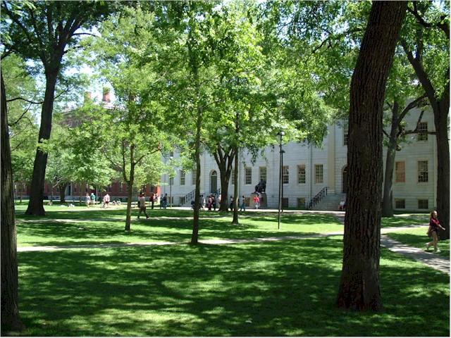The lovely grounds of Harvard.
