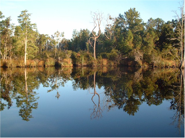 On the Alligator River...