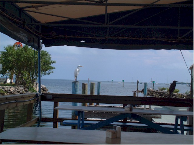 We found a lovely bar to relax in at Key Largo!

