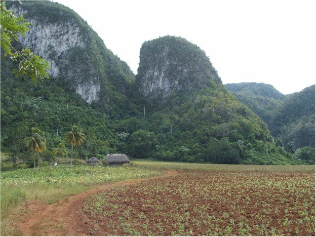 They agreed to meet us at Maria La Gorda the following Monday - about a 120km cycle ride for them.
