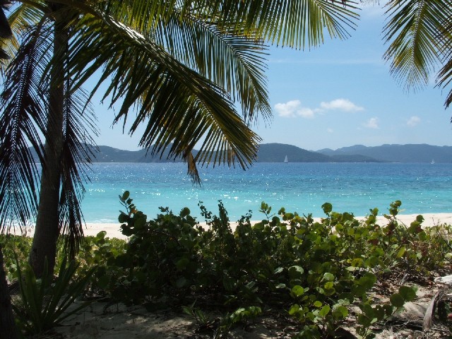 Sandy Cay - also in the BVI's.
