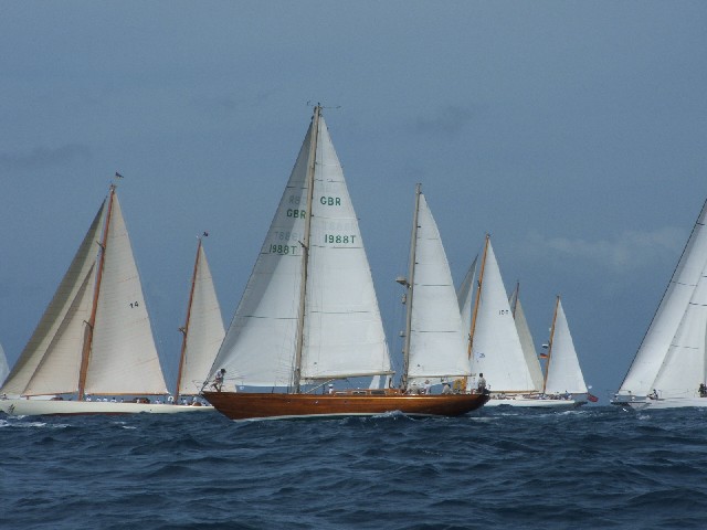 Some of the fabulous yachts racing in the "Classics" Regatta...