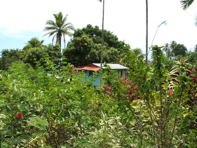 Dominica - another beautiful island.