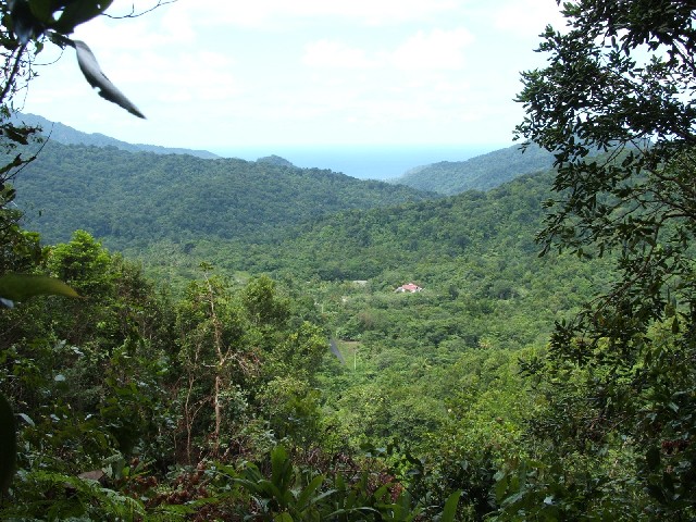 Dominica - another beautiful island.
