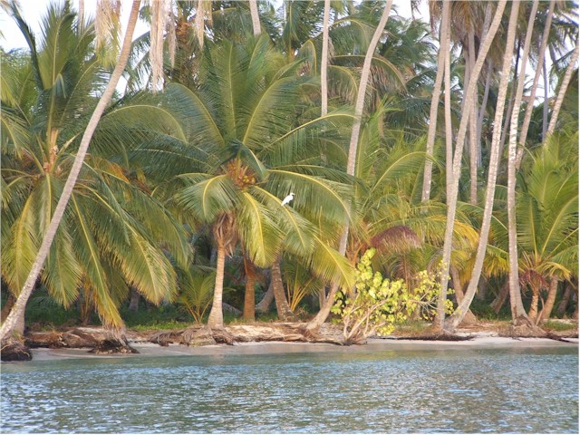 The San Blas islands are beautiful...