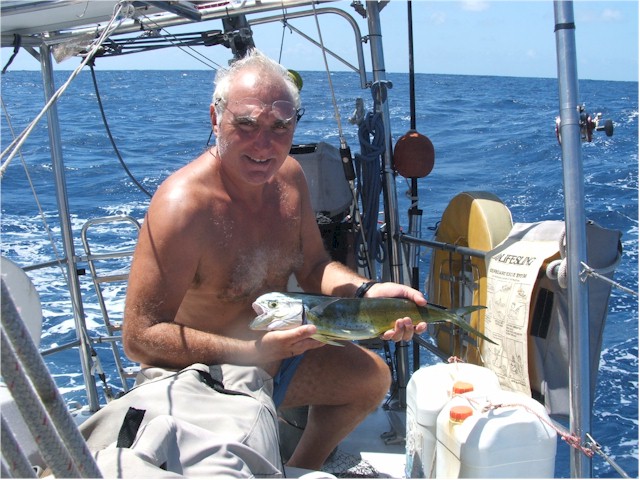 Fresh mahi-mahi.
