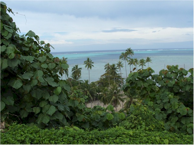 We hired a car and toured Raiatea.