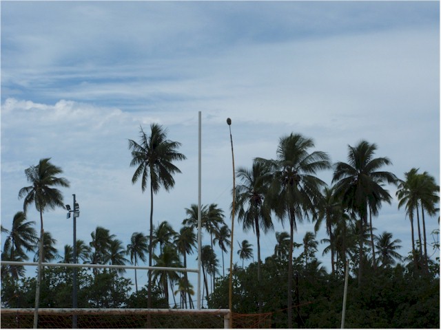 
Locals throwing spears at a coconut high on a pole.