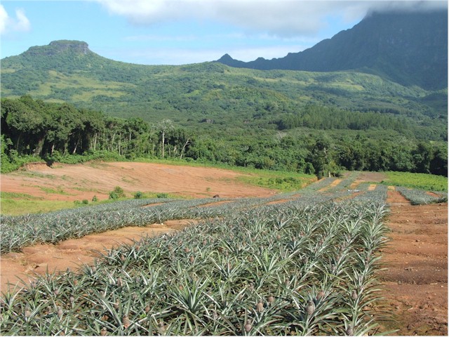 We hired a car and toured Raiatea.