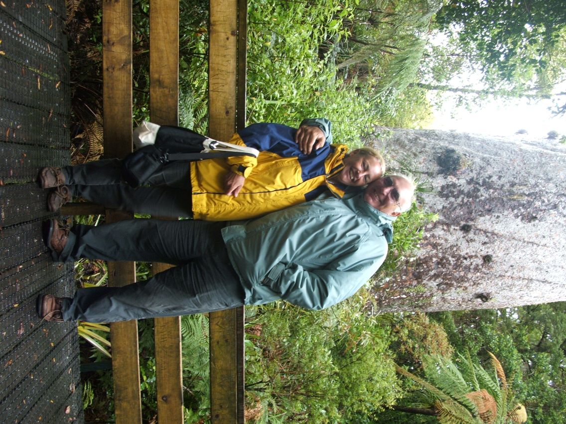 Exploring Northland  and the giant Kauri tree.
