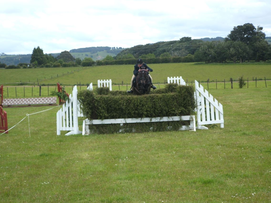 The Waimate North Agricultural Show - it felt like it could have been anywhere in England!
