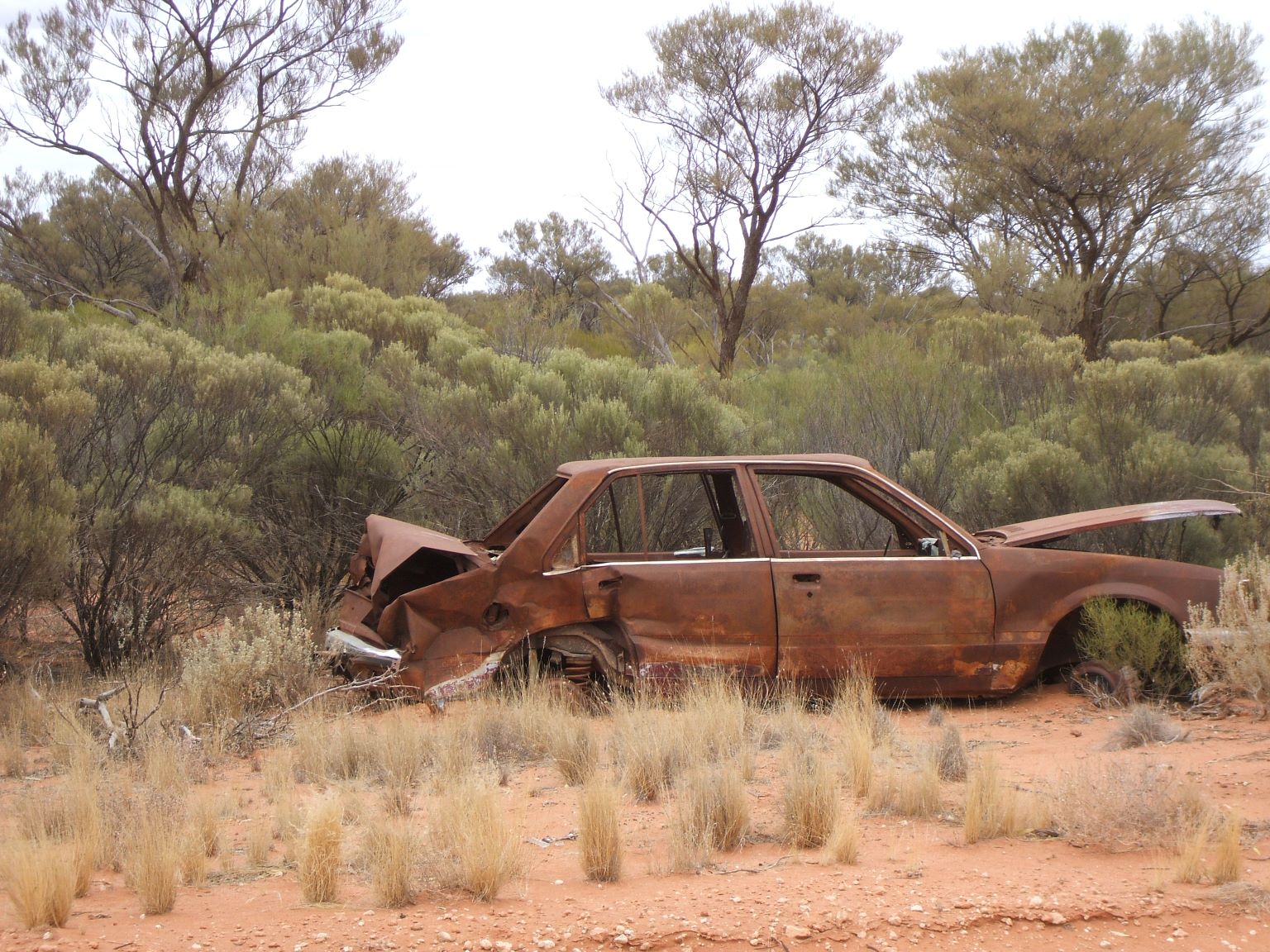 The Great Central Road - 1st of 159 car wrecks we counted.