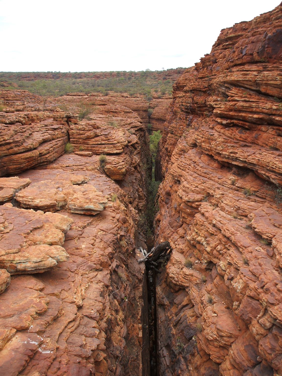 Kings Canyon.