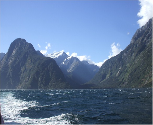 We took an Encounter Cruise on the Milford Sound...
