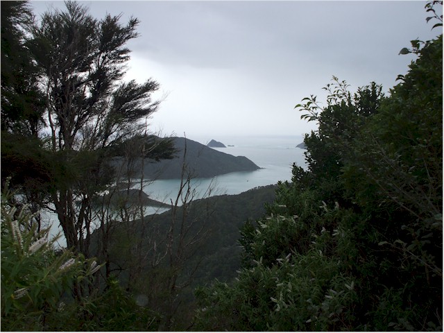 Pelorus Sound.
