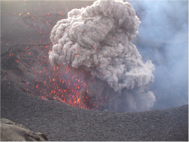 
... and get a close up demonstration of its activity...